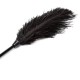 Еротично перце за галене Black Feather Tickler